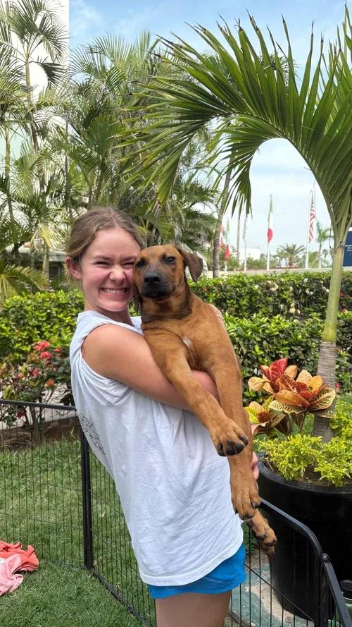 Chewbacca, an adopted mixed breed in San Diego, CA image 5/6