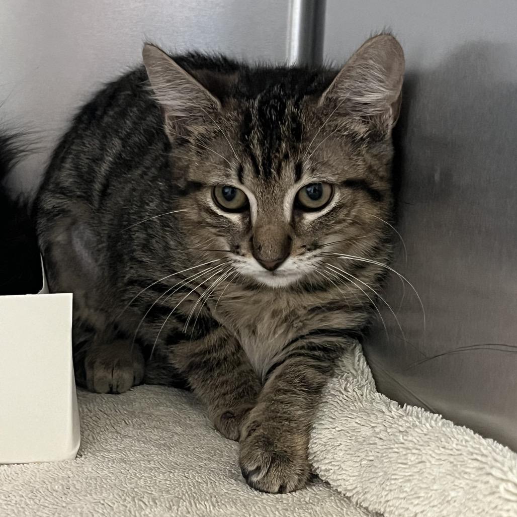 Leslie — thumbnail 2