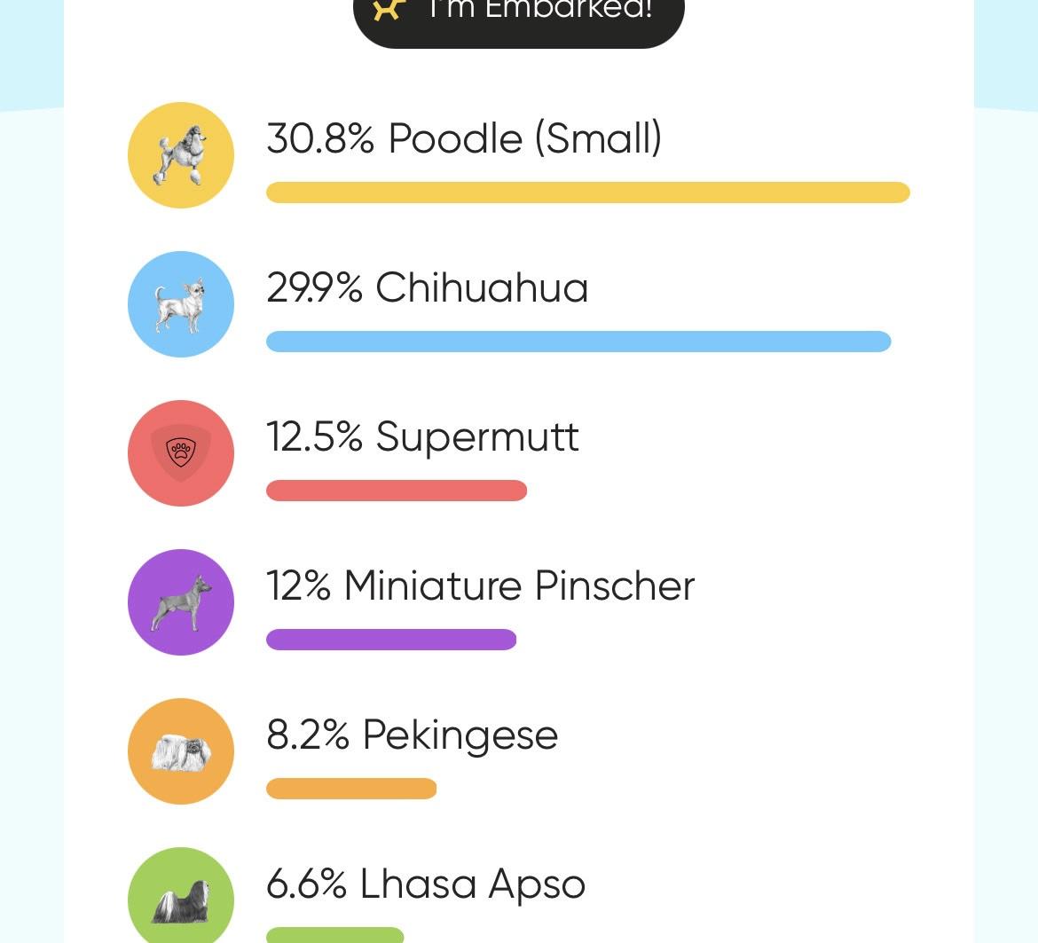 Calvin, a Adoptable mixed breed in Mead, CO image 2/3
