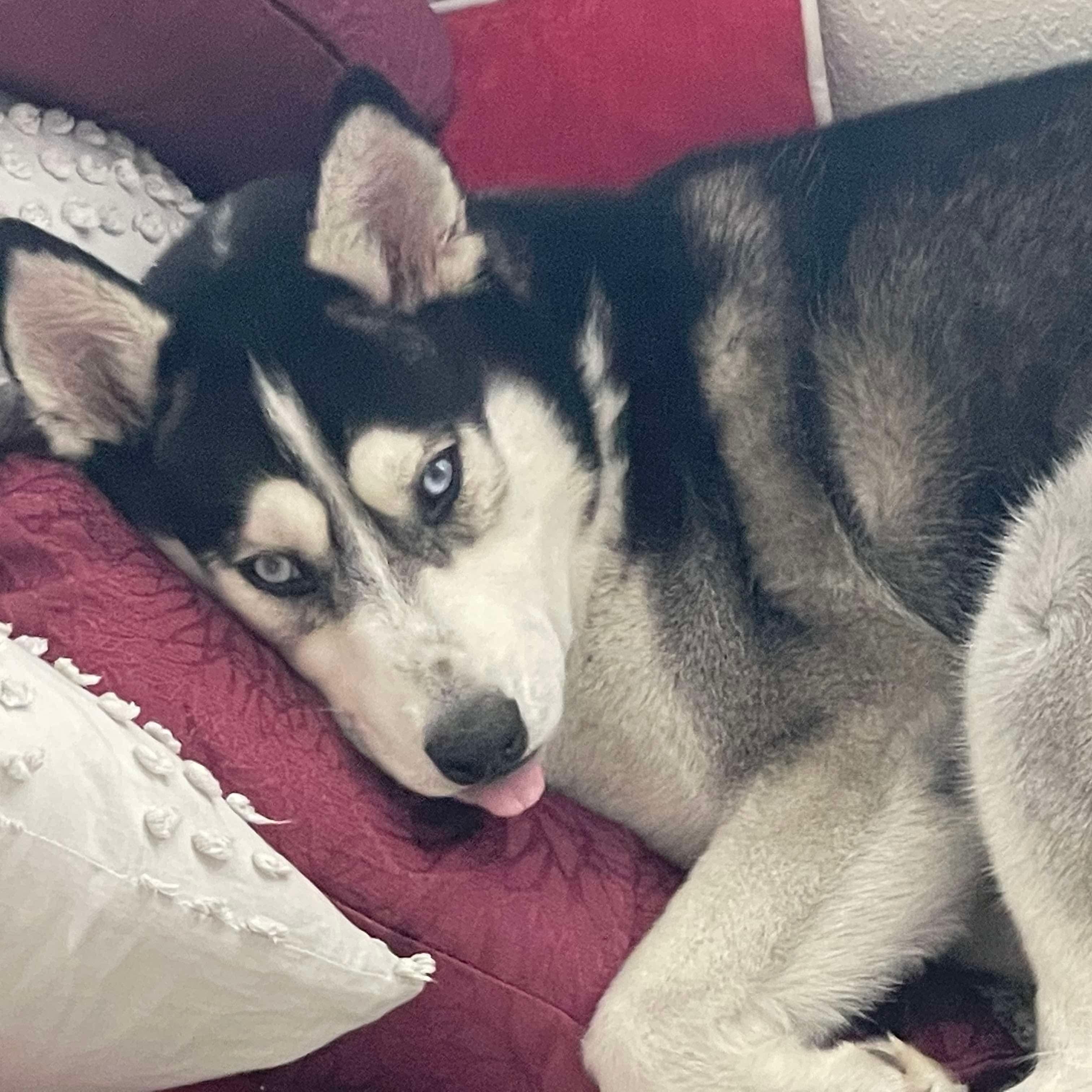 Luna