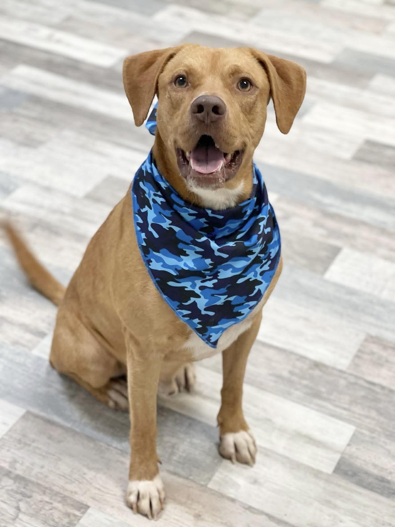 Fergus