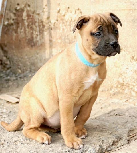 Charlotte Cutiepie — thumbnail 2