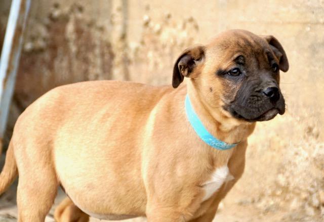 Charlotte Cutiepie — thumbnail 3