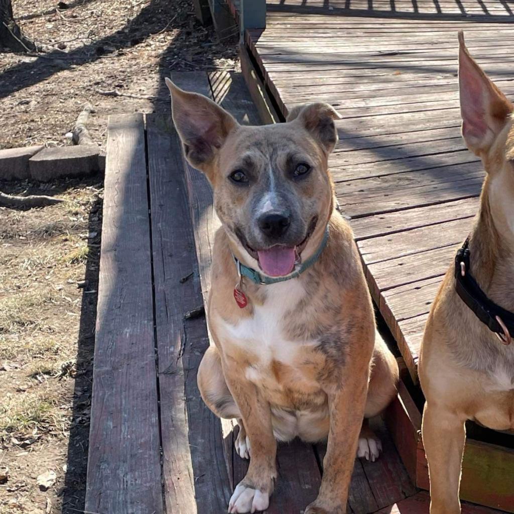 Linda Belcher thumbnail 2