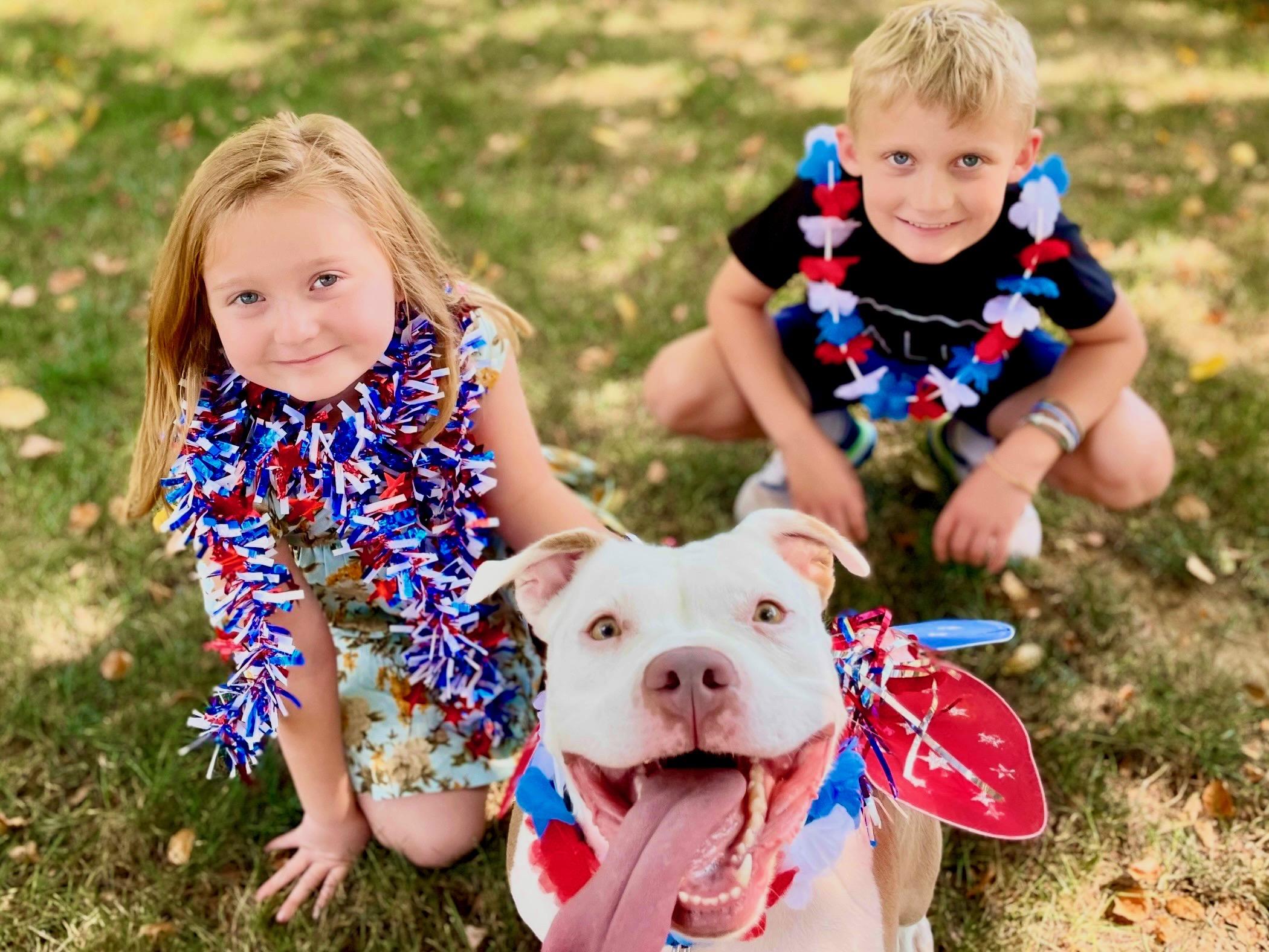 Enlarge Rosie, a Adoptable Pit Bull Terrier in Mechanicsburg, PA image 6/6