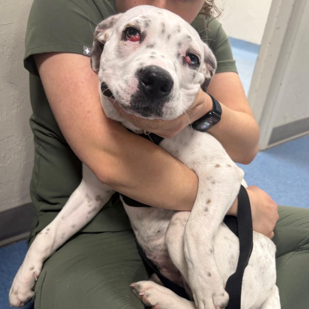 Freckles — thumbnail 2