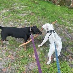 Freckles — thumbnail 3