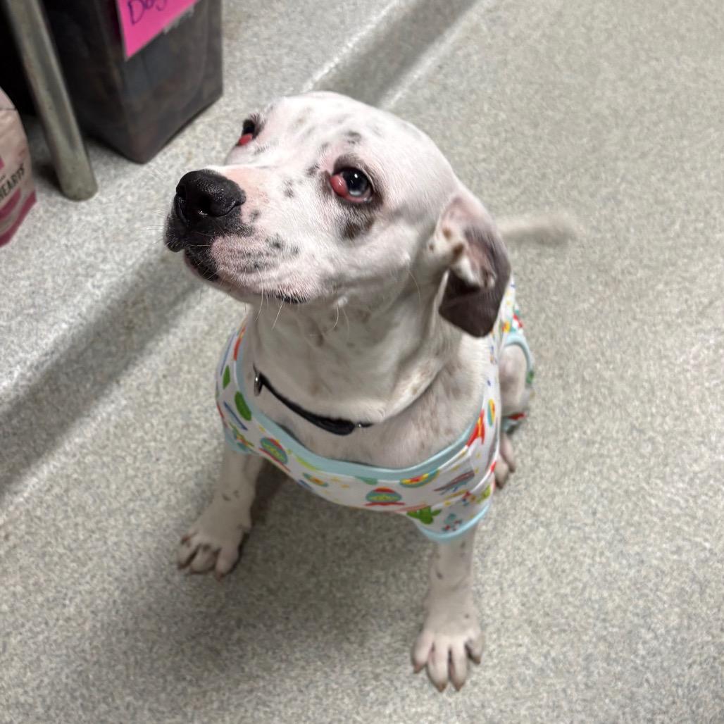 Freckles — thumbnail 5