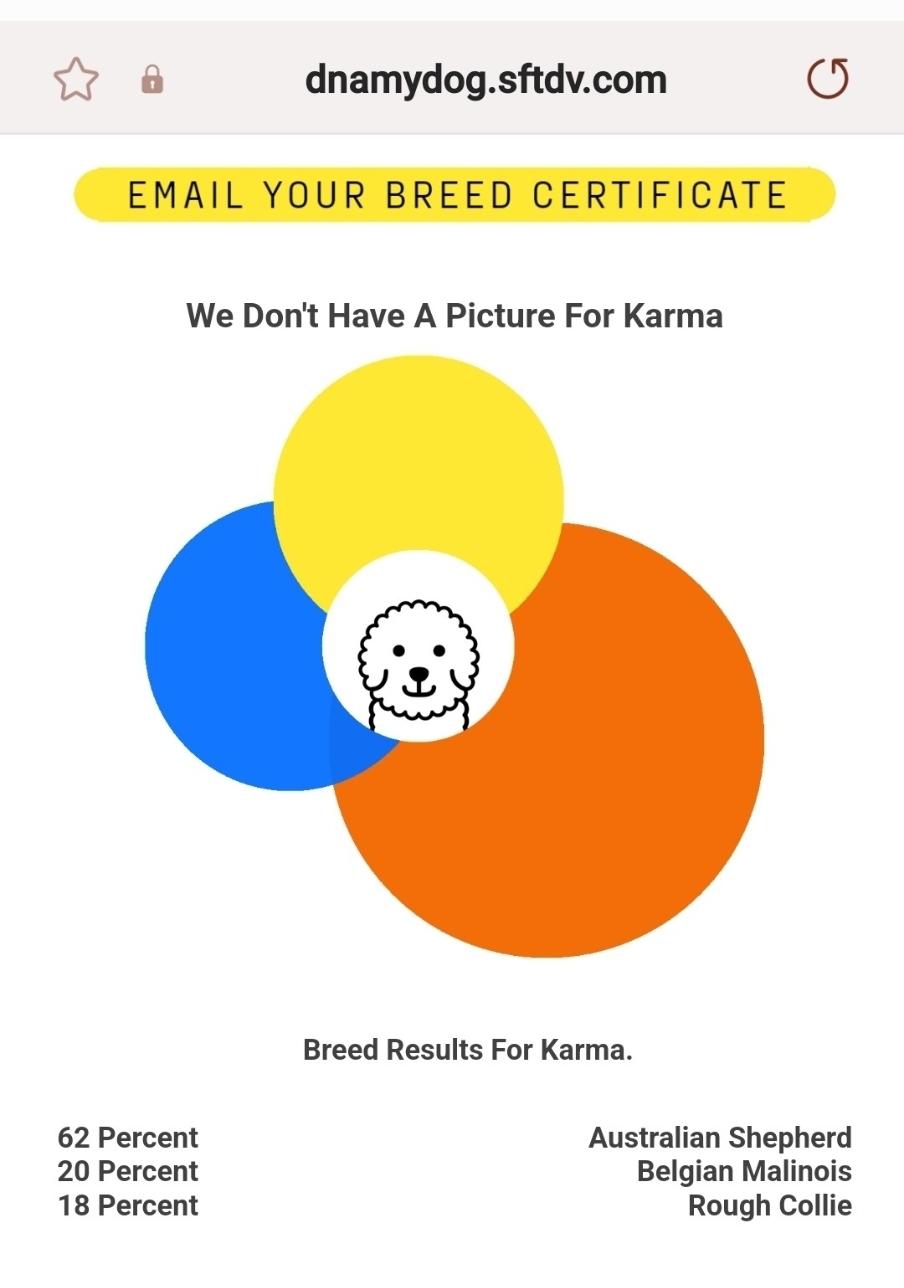 Douglas, a Adoptable mixed breed in Sioux City, IA image 2/6