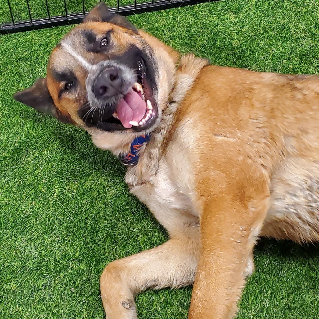 Dakota JuM — thumbnail 2