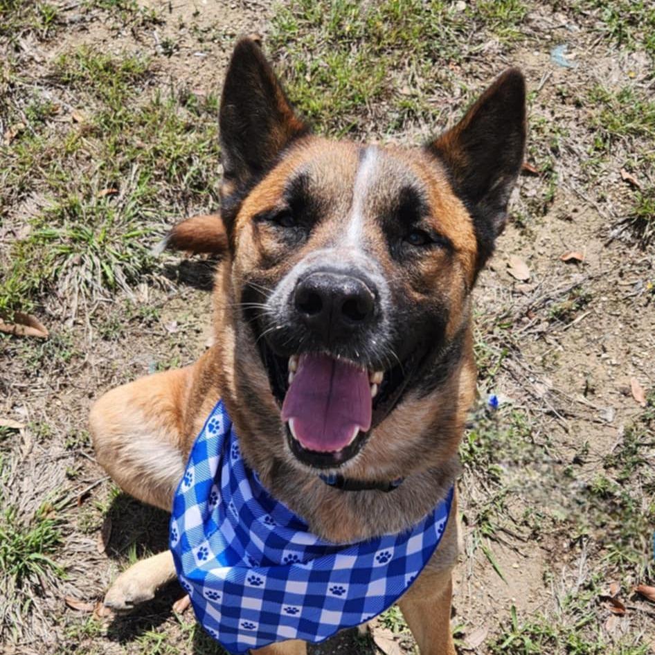 Dakota JuM — thumbnail 5