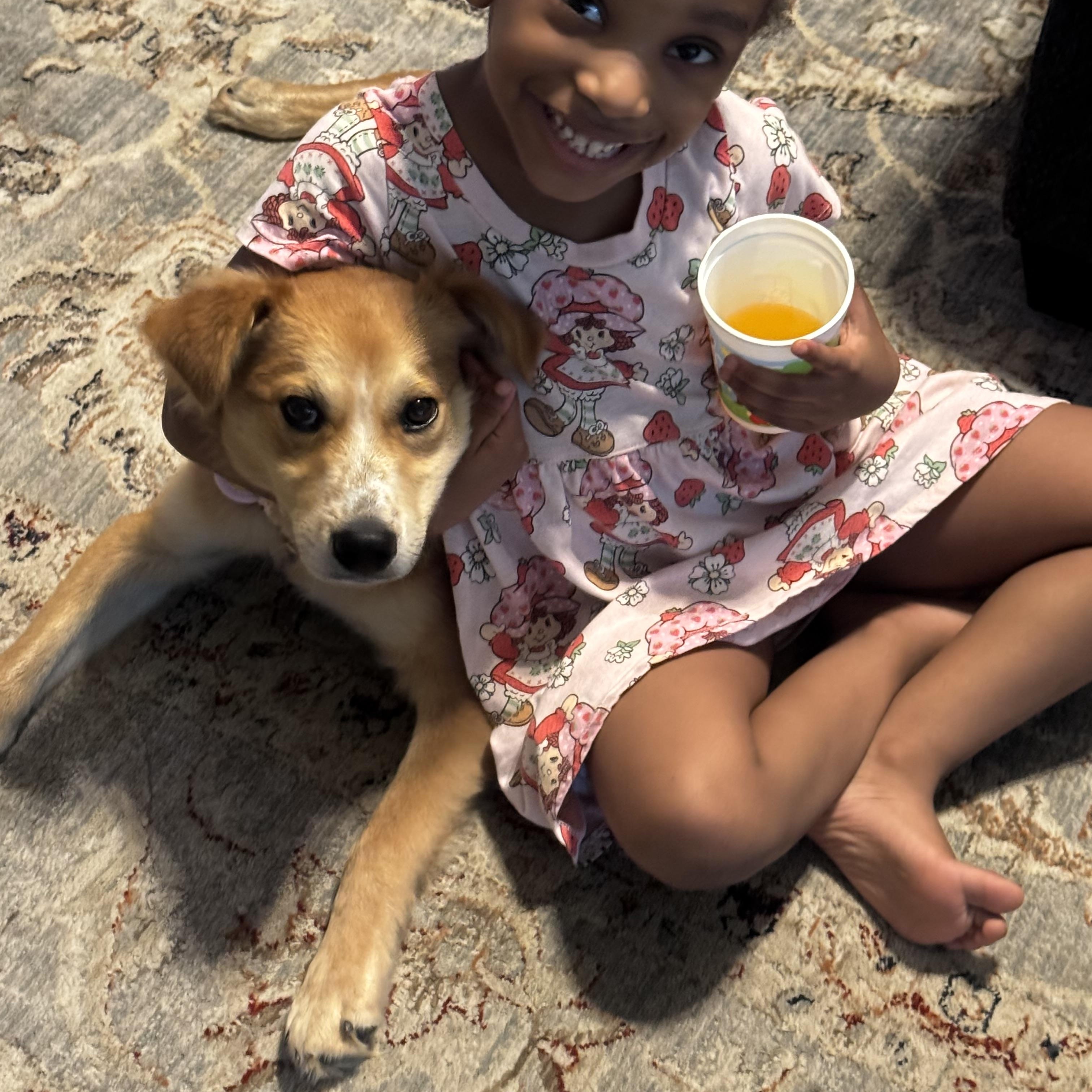 Enlarge Dory, an adopted mixed breed in Forney, TX image 1/1