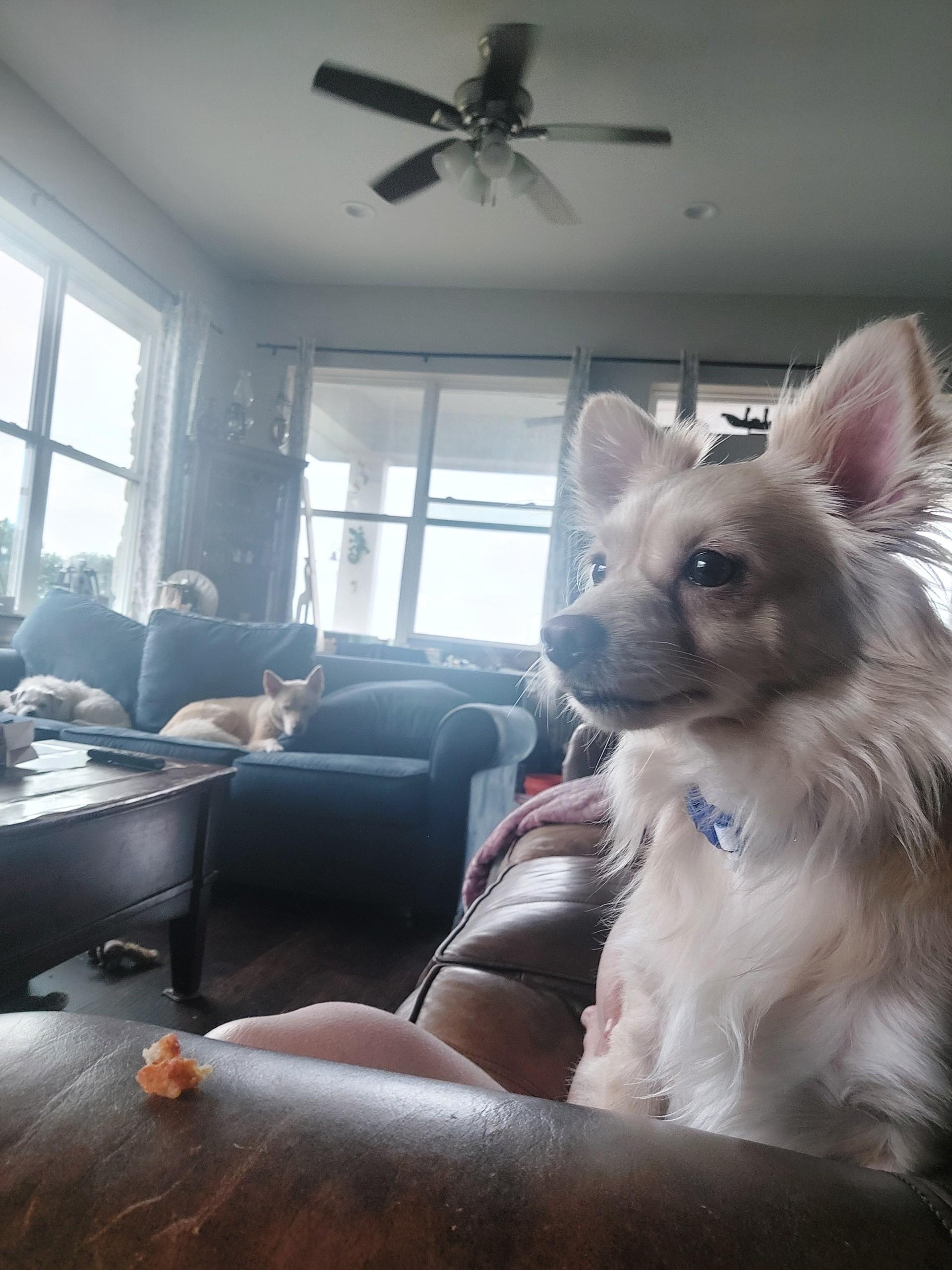 LEROY photo 4