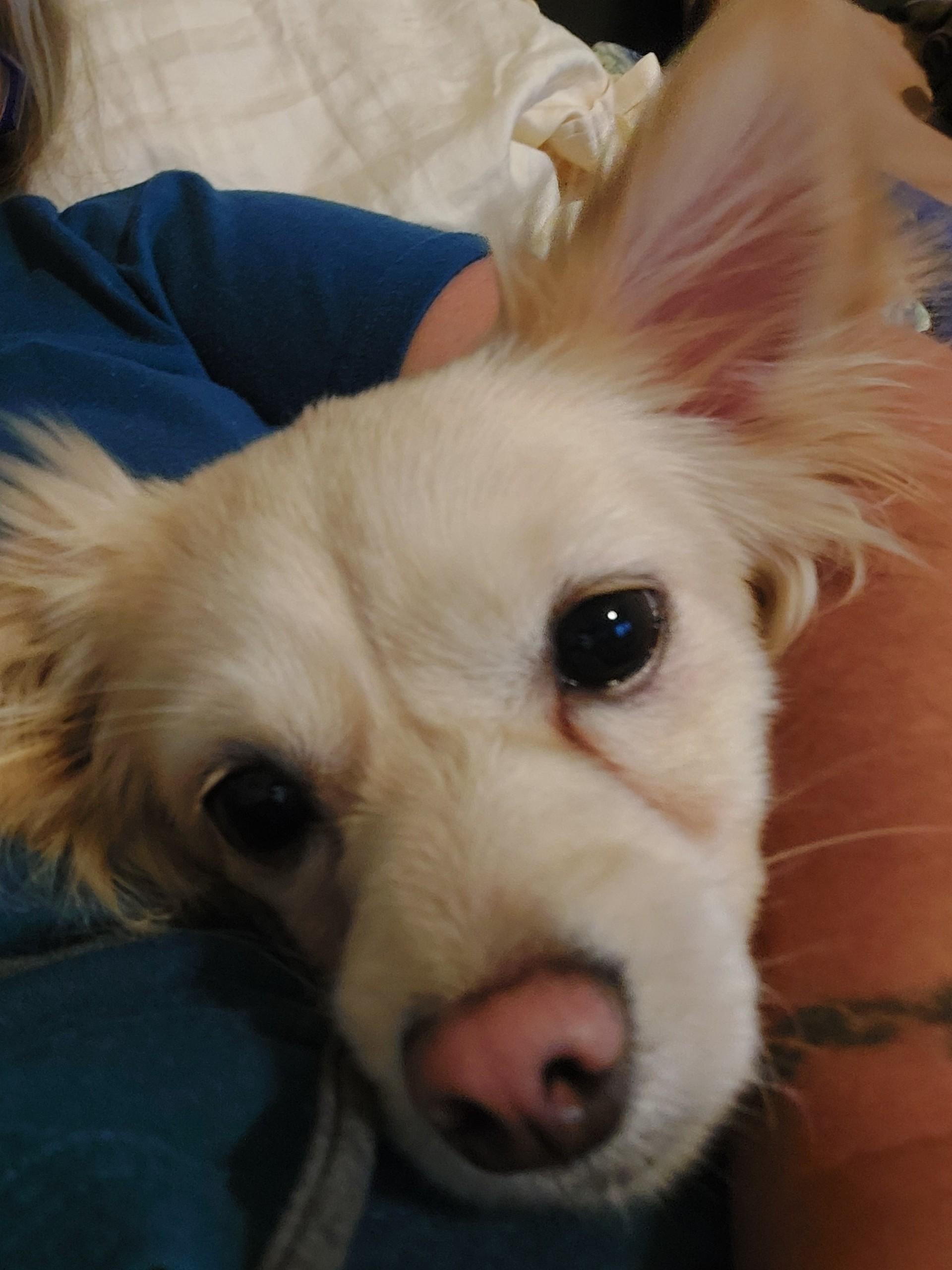 LEROY photo 6