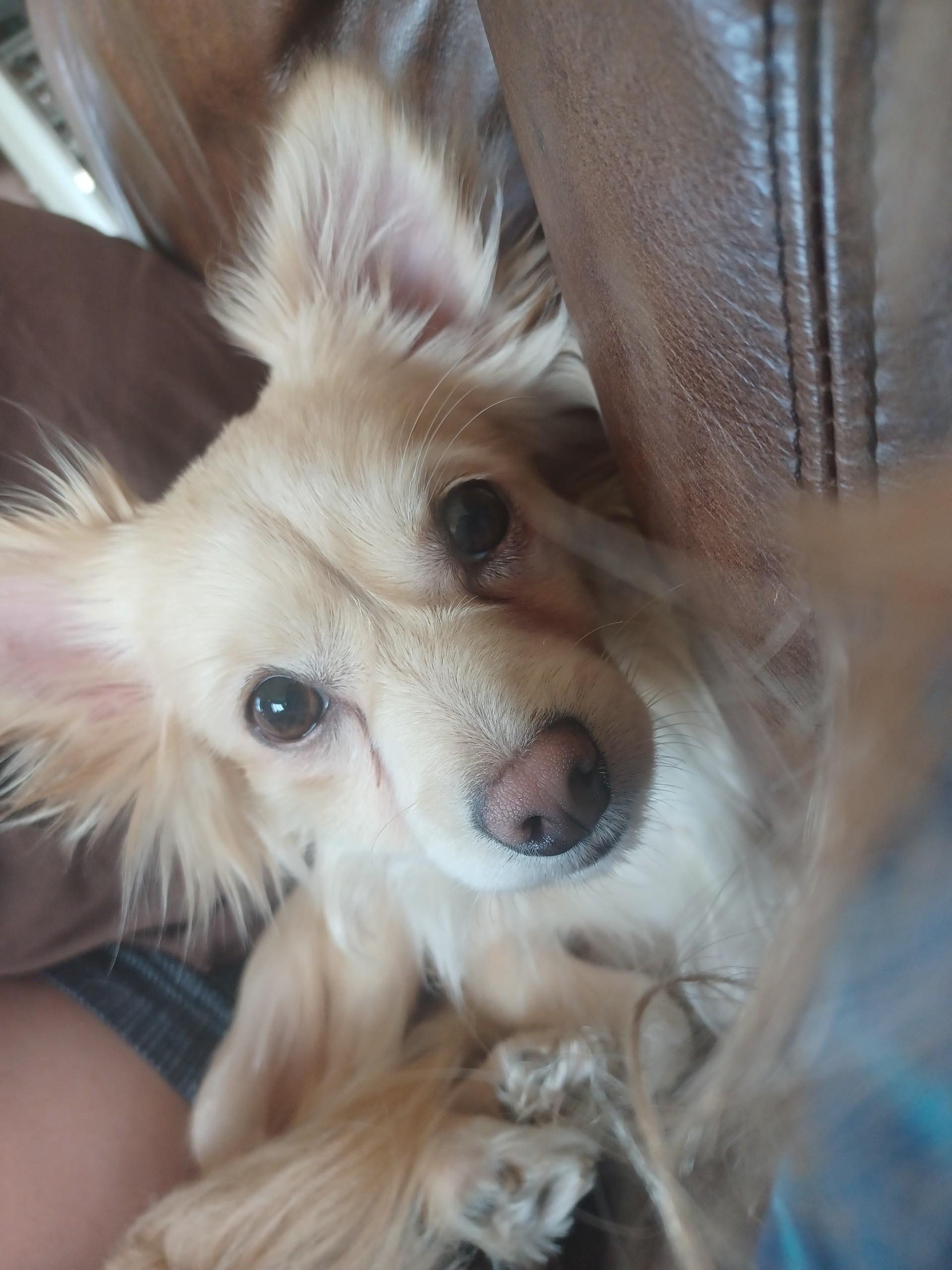 LEROY photo 1