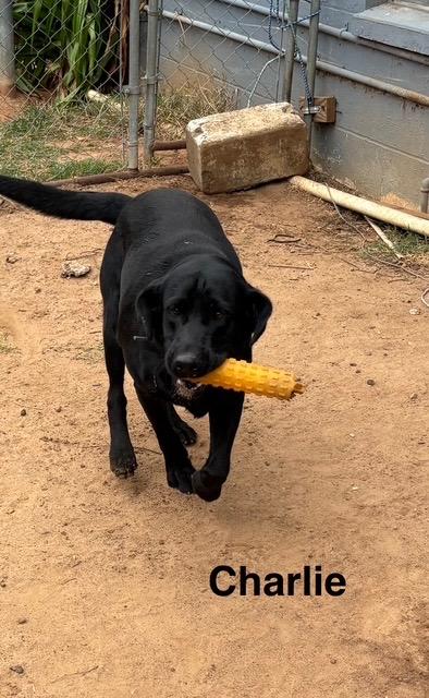 Charlie