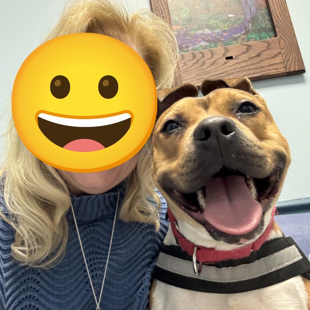 Lolita — thumbnail 6