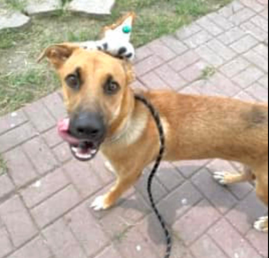 Botas — thumbnail 3