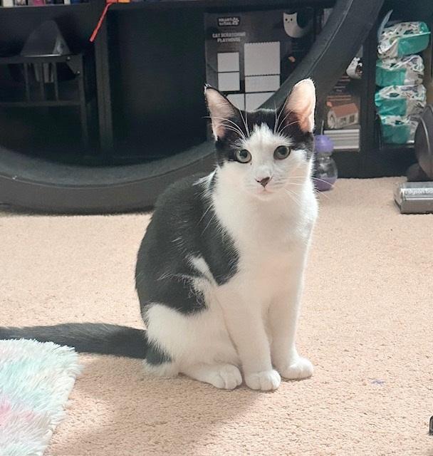 Blossom & Buttercup thumbnail 2