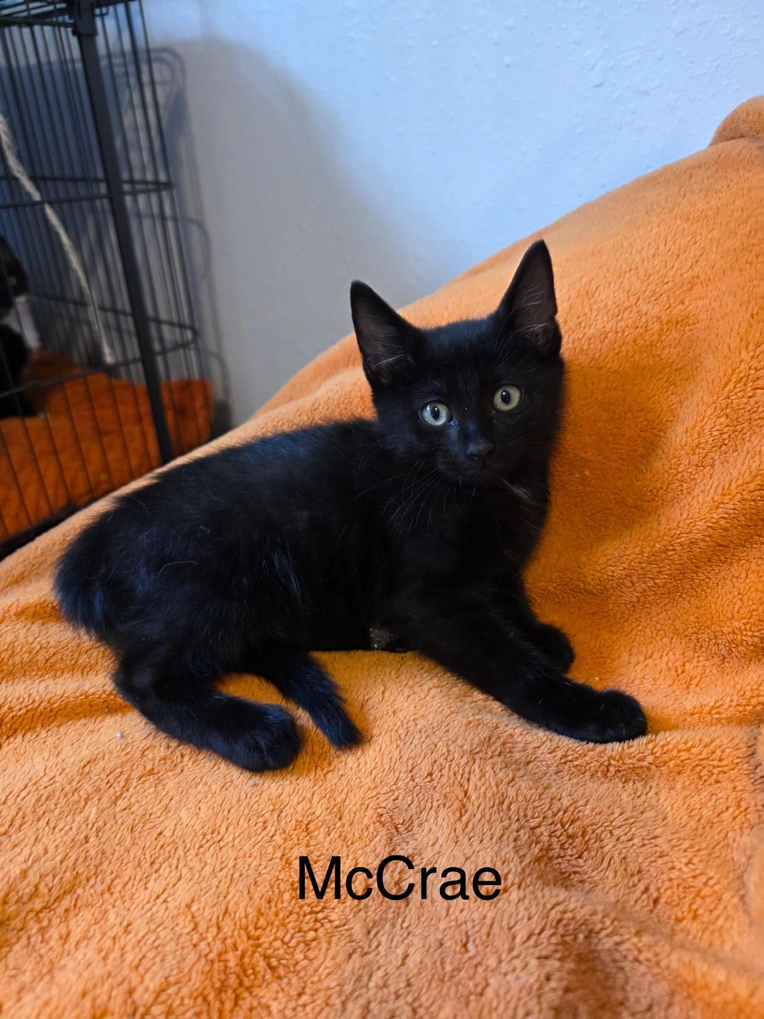 McCrae
