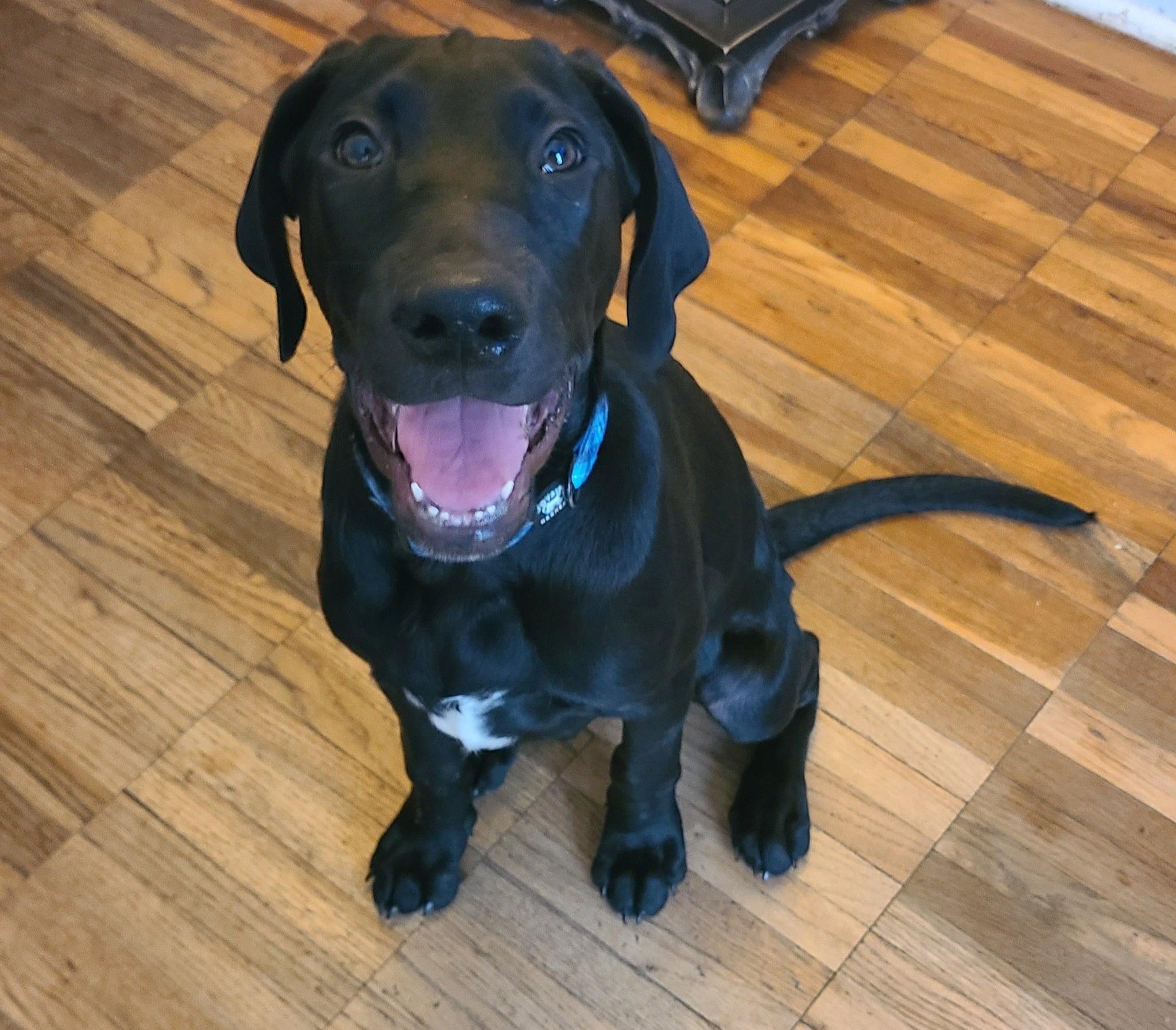 Hunter photo