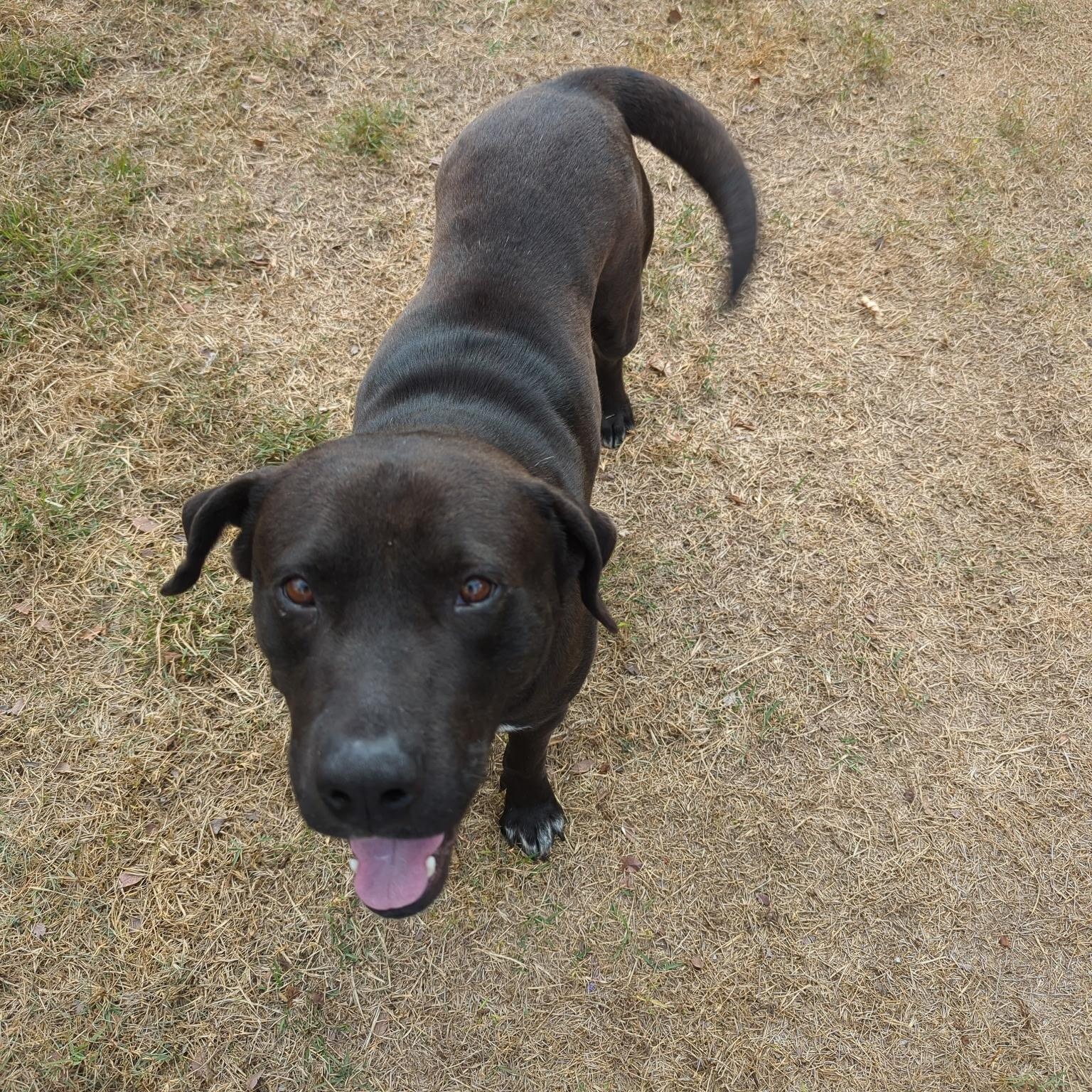 Shadow — thumbnail 2