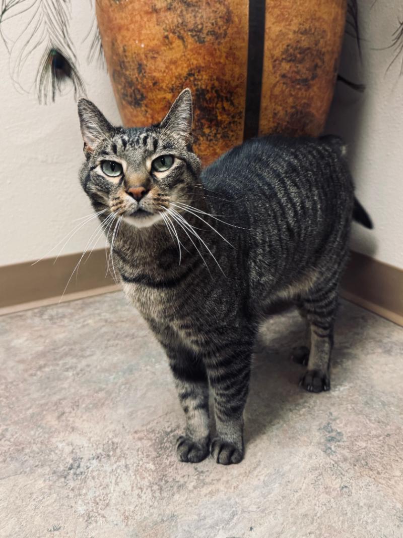 Burt *MEET AT AVE OF SAINTS VET*