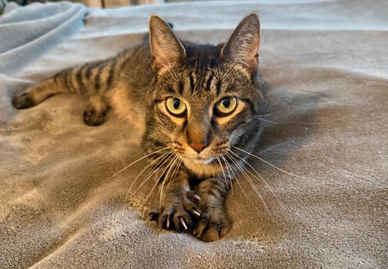 Burt *MEET AT AVE OF SAINTS VET*