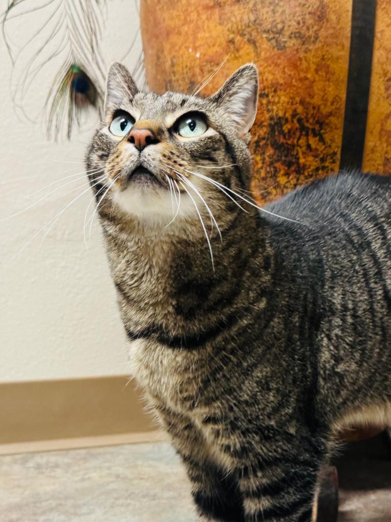 Burt *MEET AT AVE OF SAINTS VET*