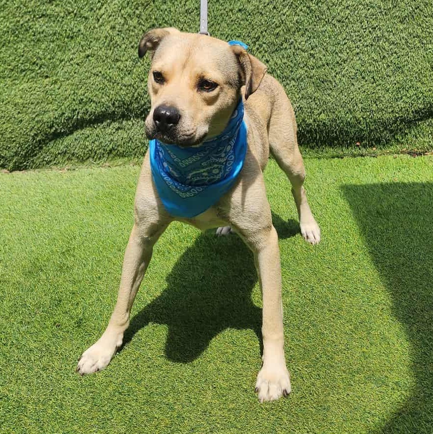 Fred — thumbnail 2