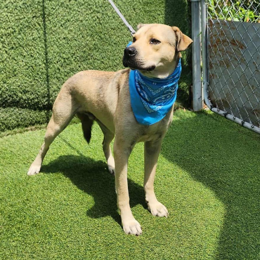 Fred — thumbnail 3