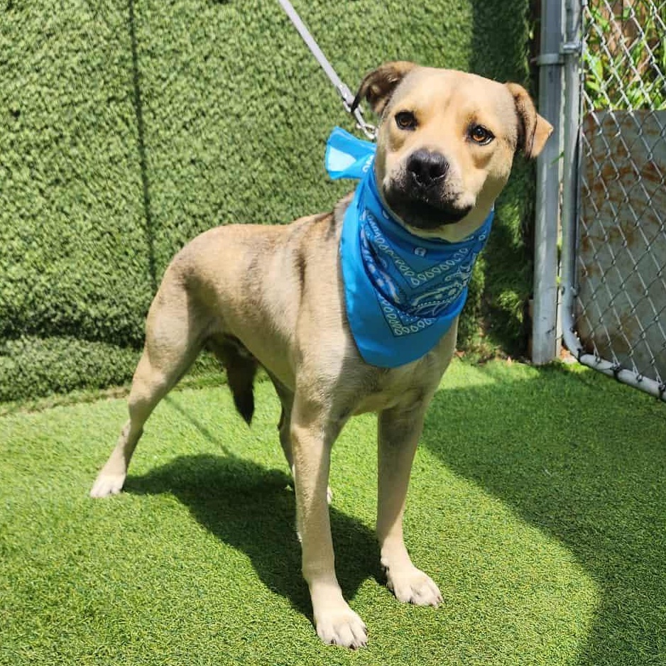 Fred — thumbnail 4