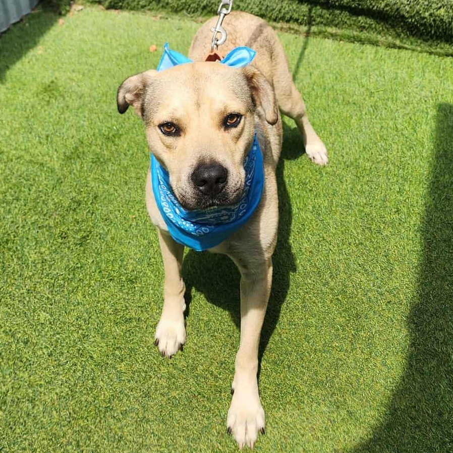 Fred — thumbnail 5