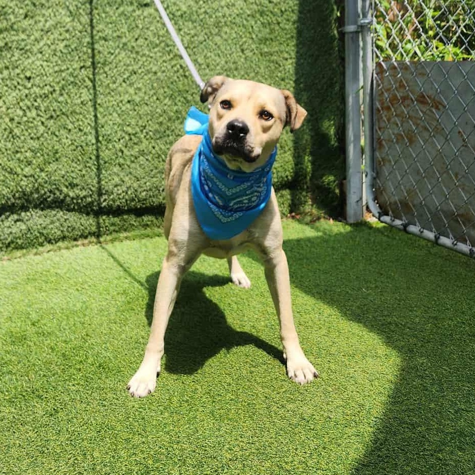 Fred — thumbnail 6