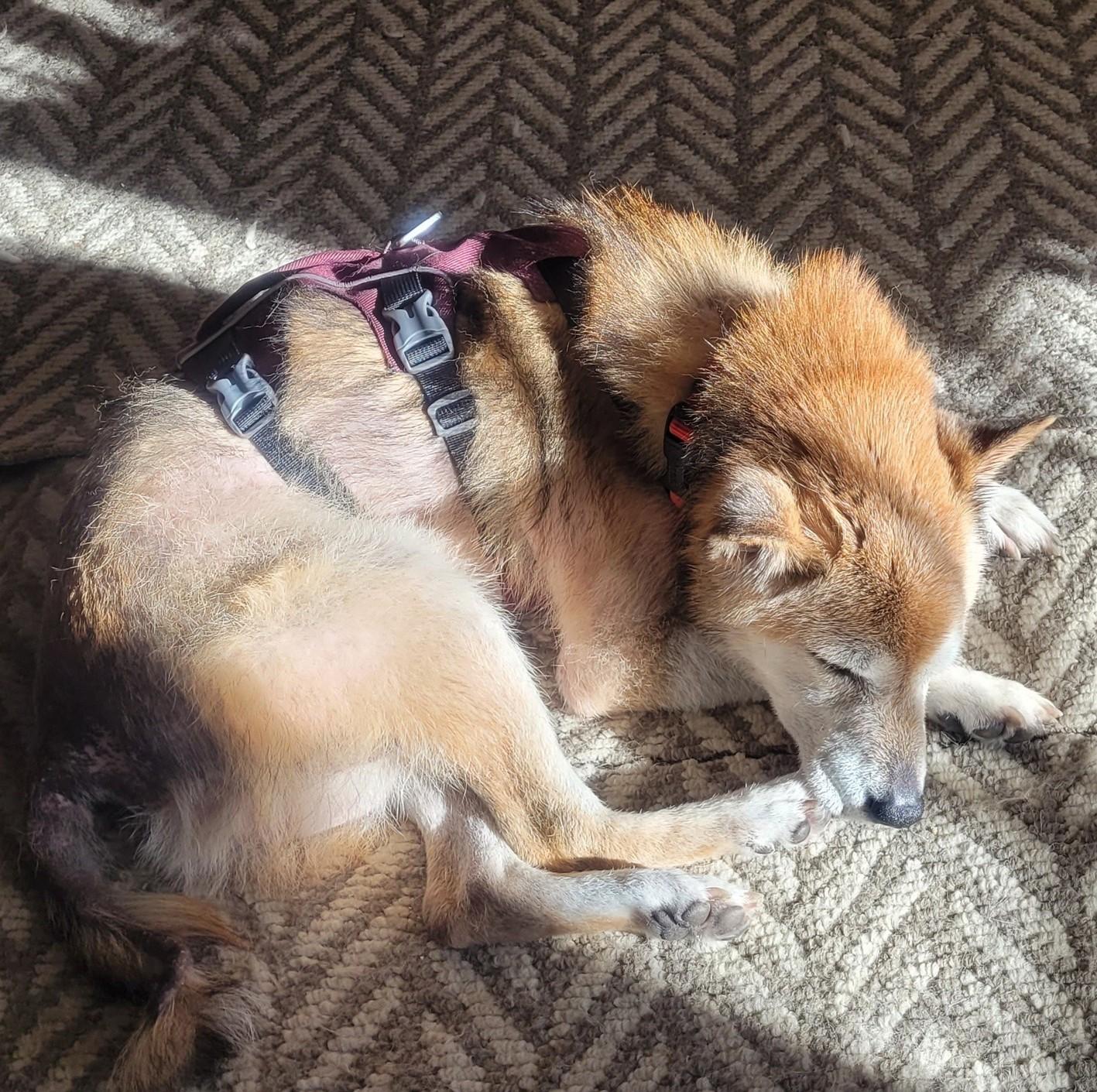 Mr. Clean thumbnail 4