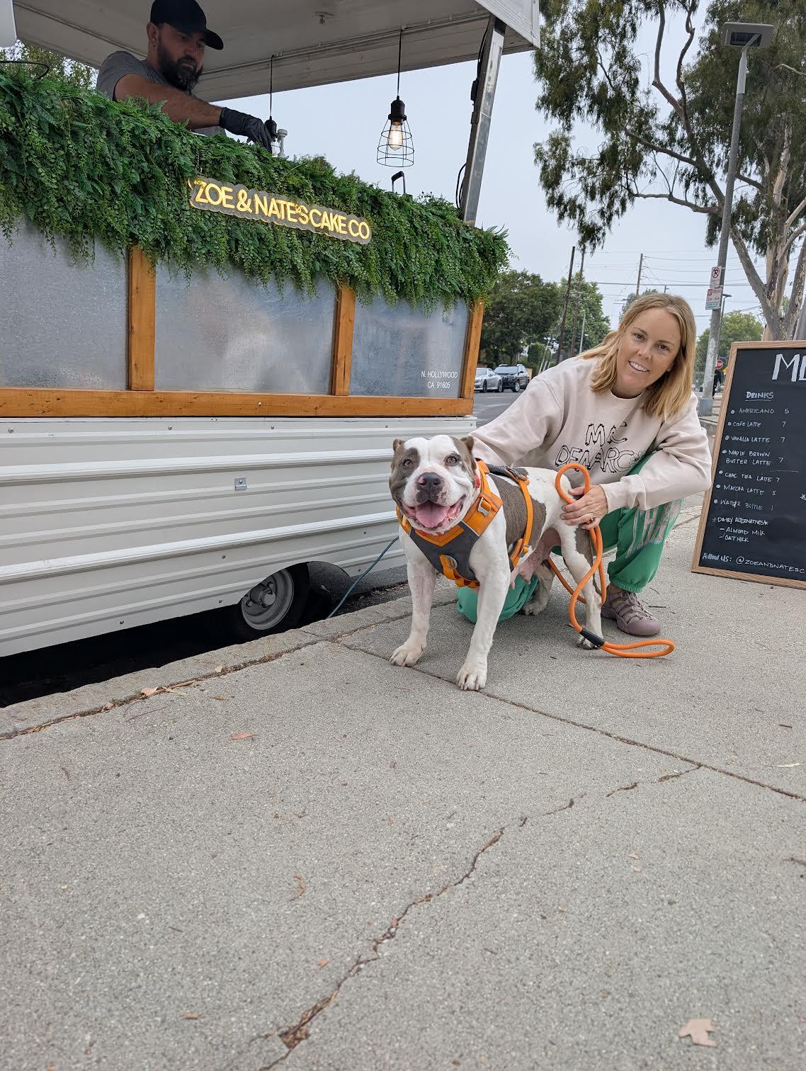 Butterball, a ADOPTABLE Pit Bull Terrier in West Hollywood, CA image 3/3