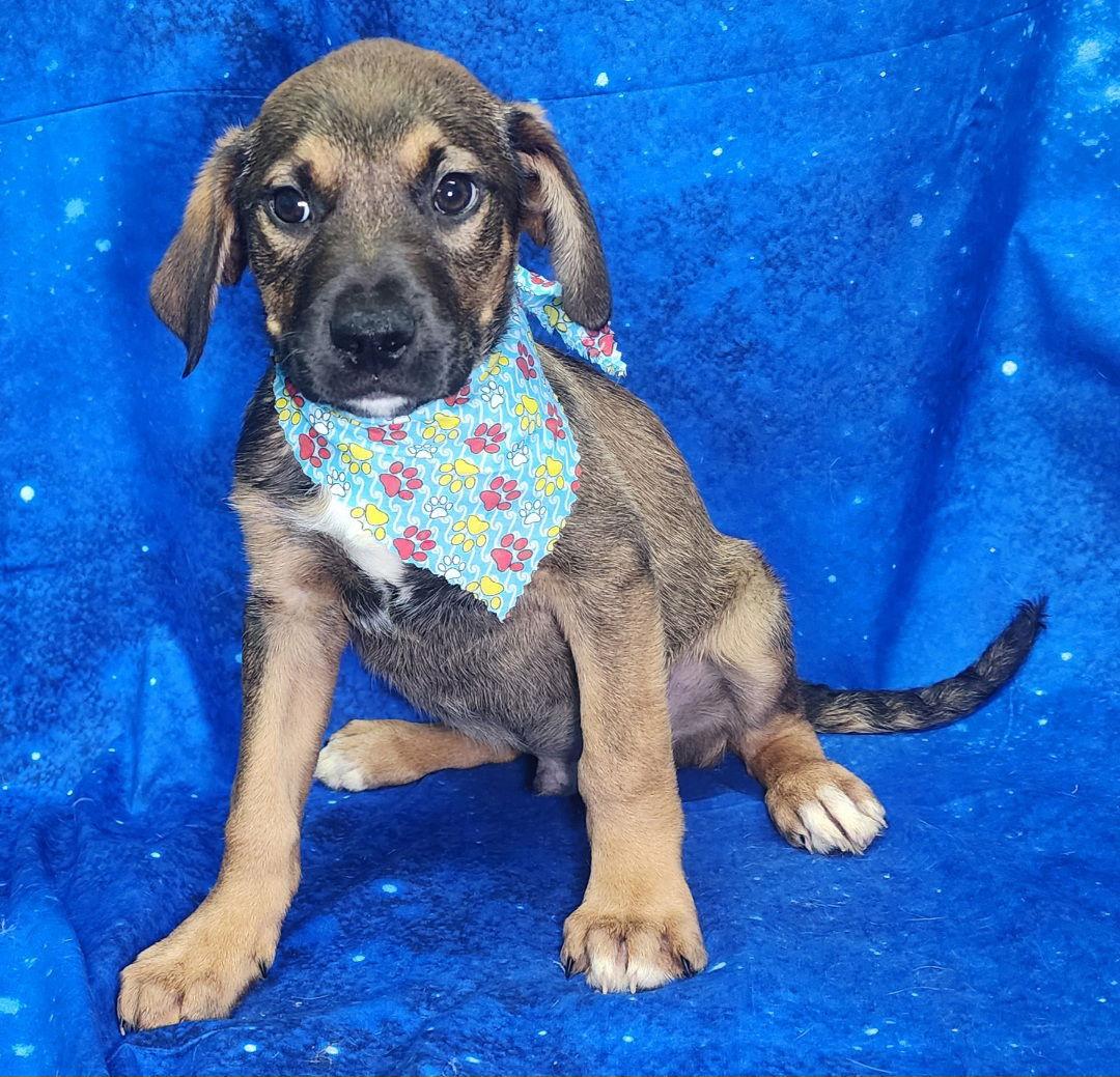 260304 Cooler — thumbnail 2