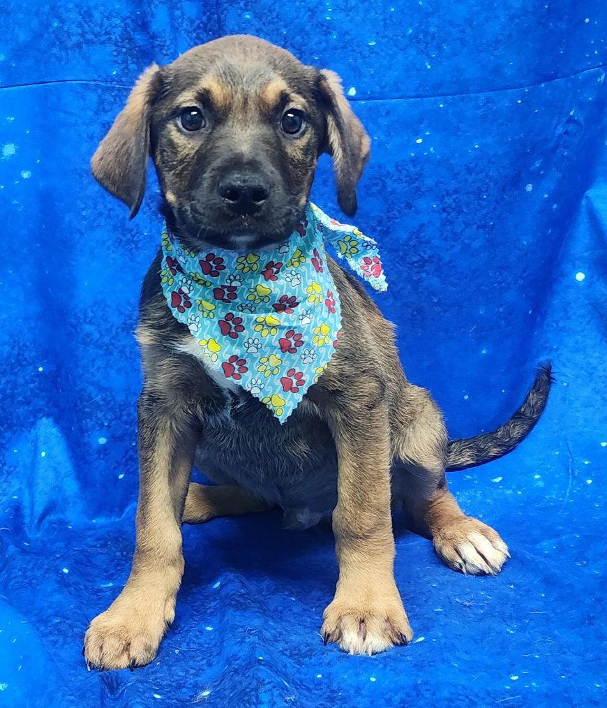 260304 Cooler — thumbnail 3