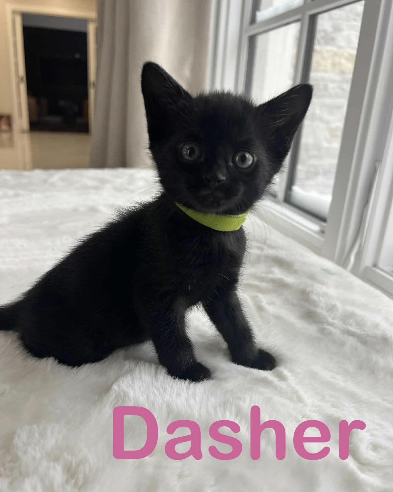 Mrs Claus And  thumbnail 5