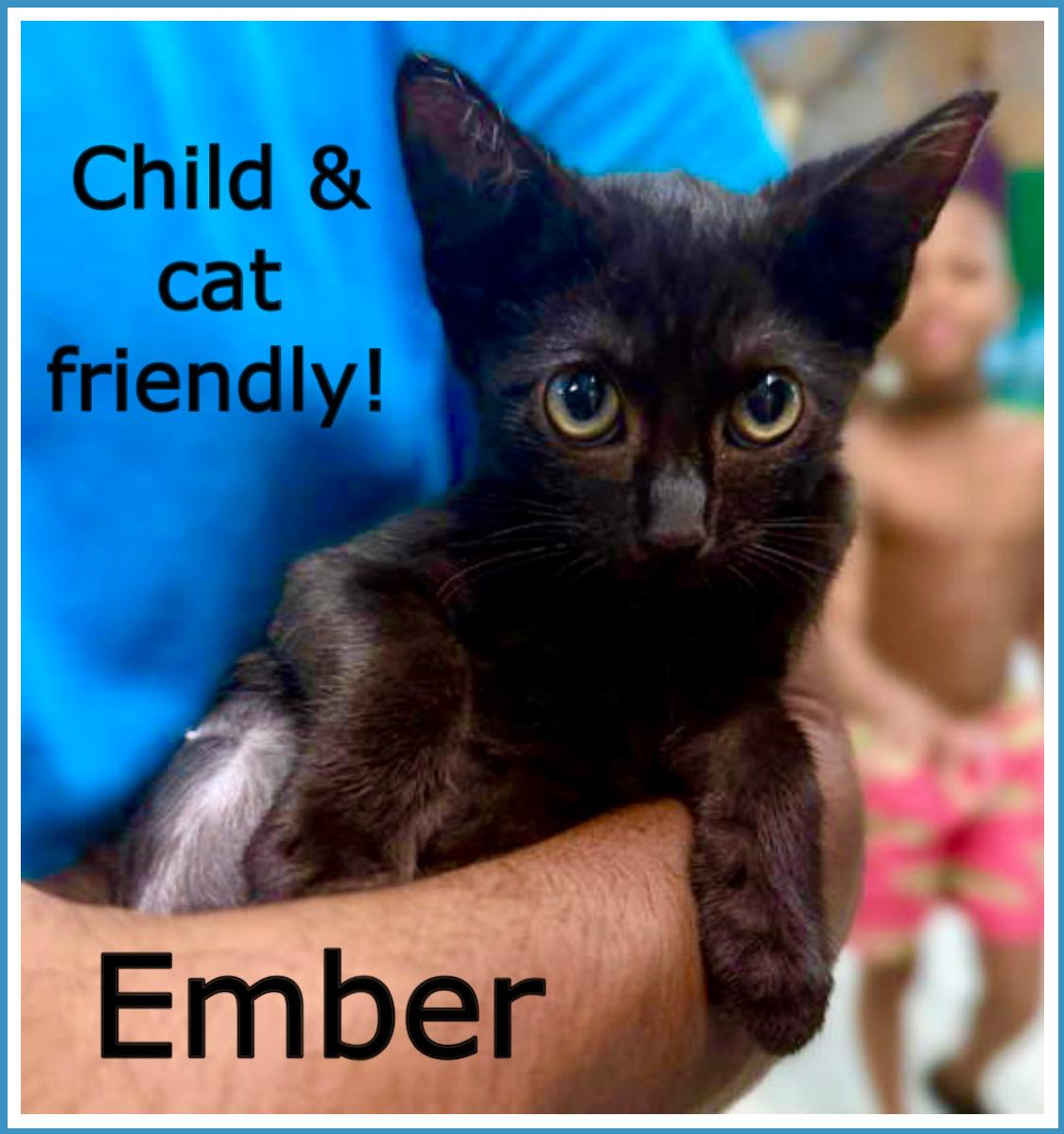 Ember, Willow Grove Area, (FCID 06/17/2025-144