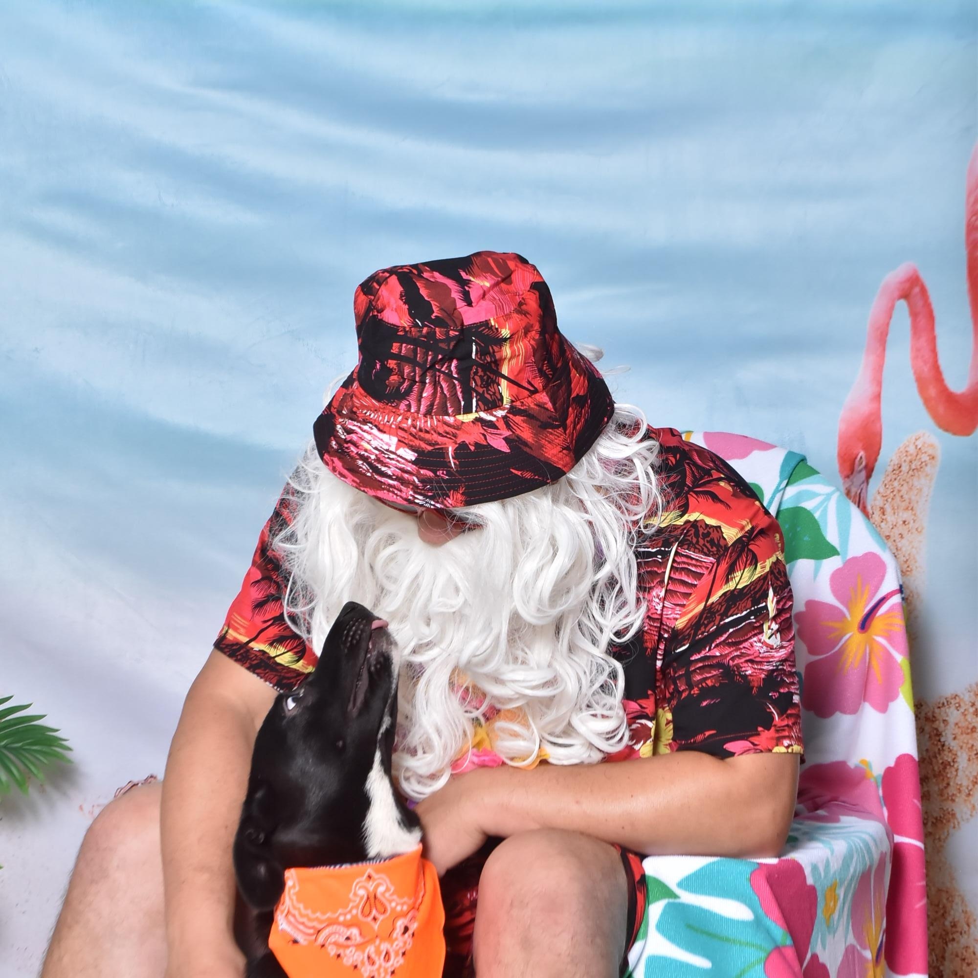 JACK, a Adoptable mixed breed in Wilmington, NC image 2/3