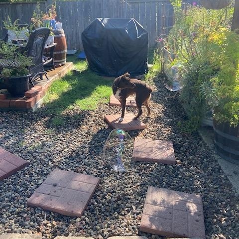 Ruthie photo 4