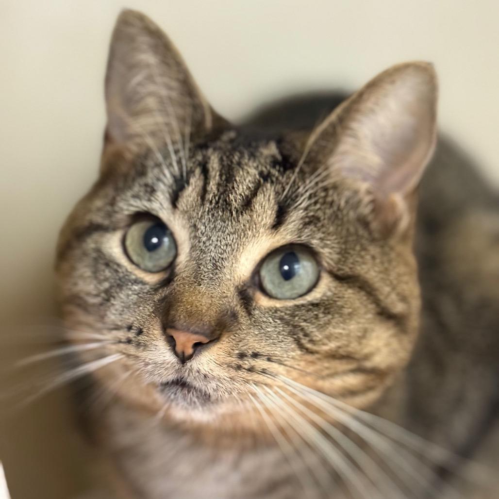 Ralphie — thumbnail 2