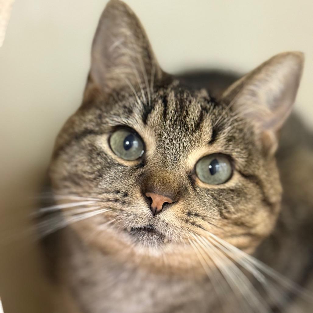 Ralphie — thumbnail 3