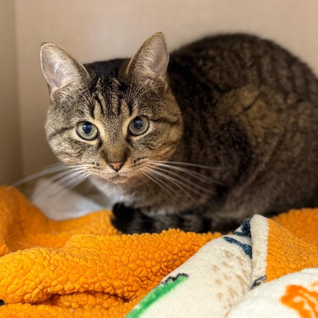 Ralphie — thumbnail 6