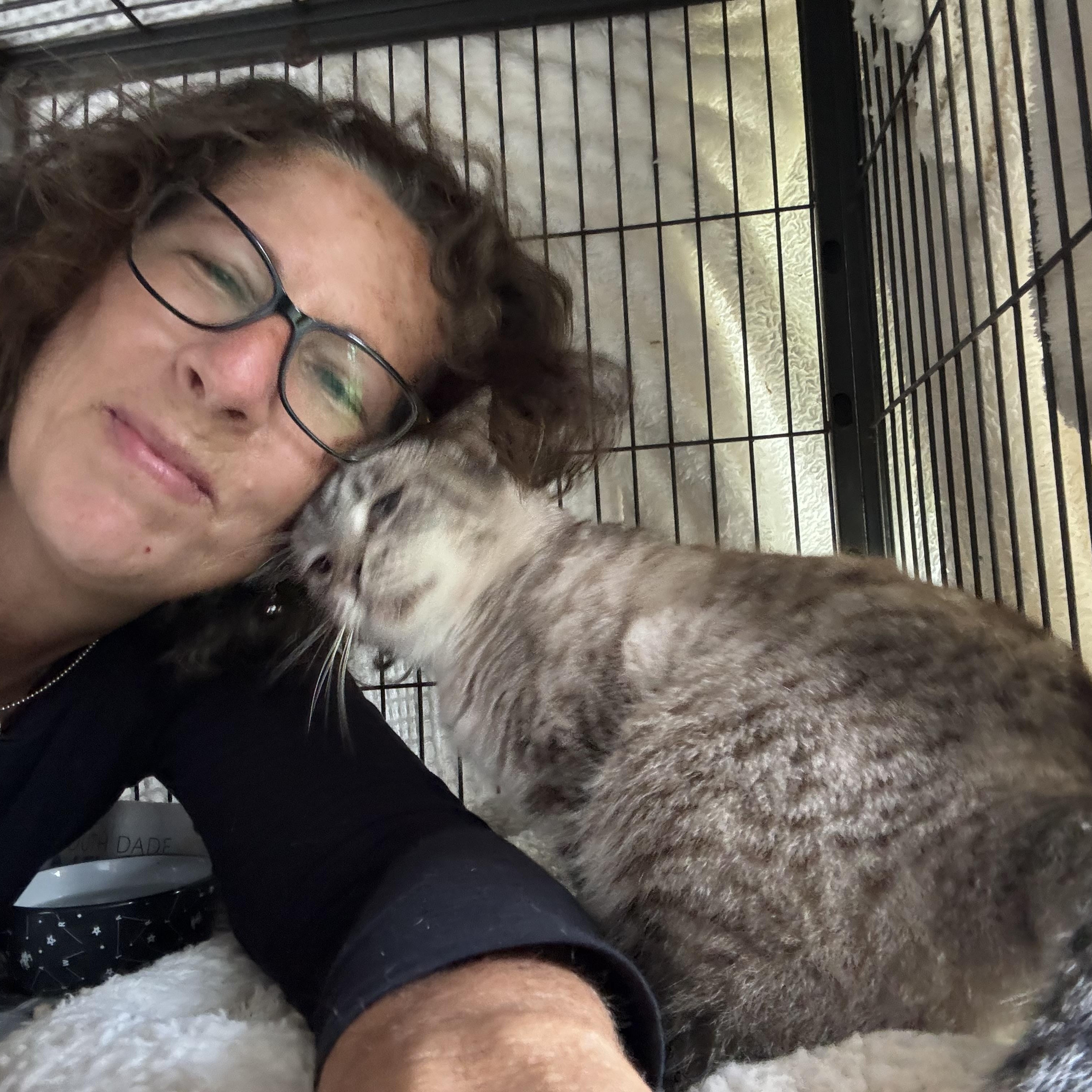 Ellie FIV+ photo 5