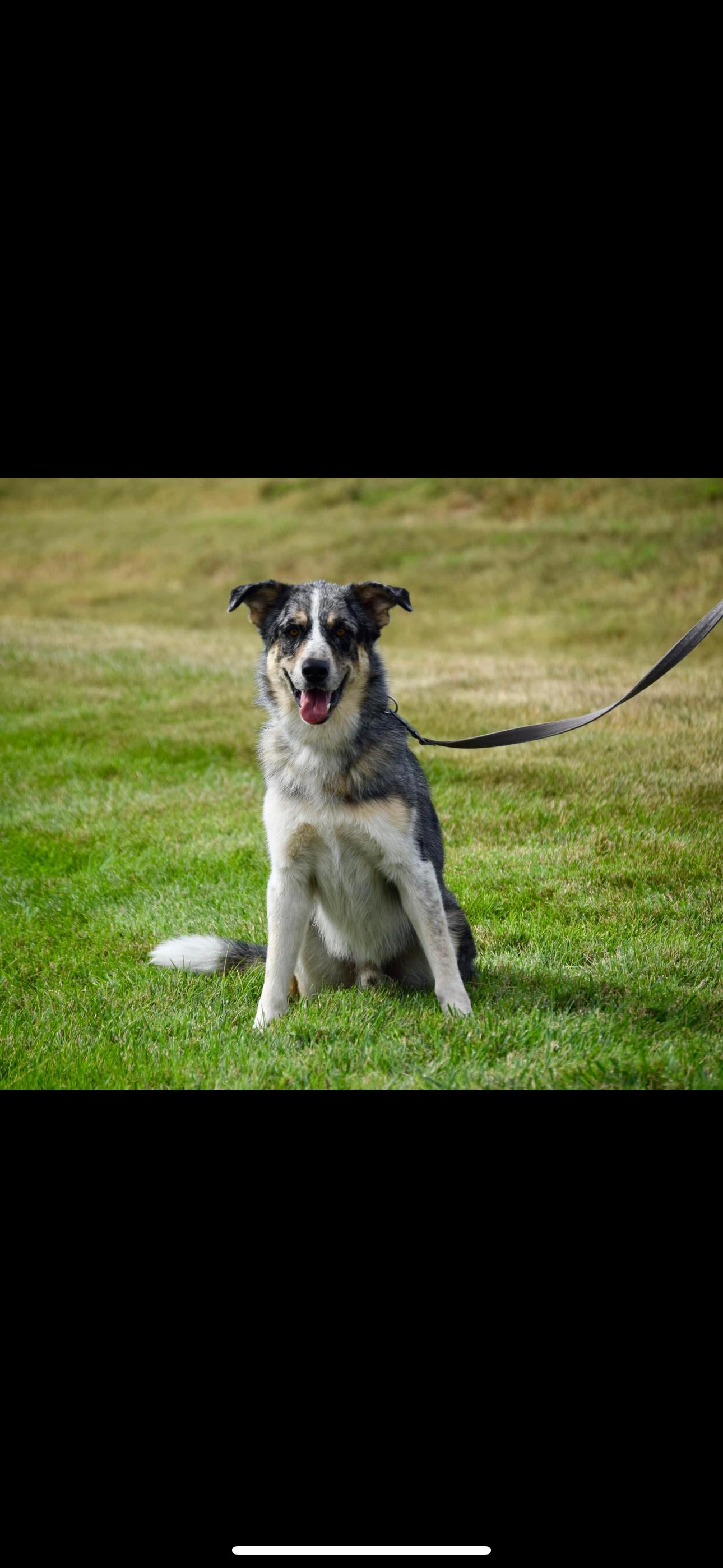 6563 Boone photo 4