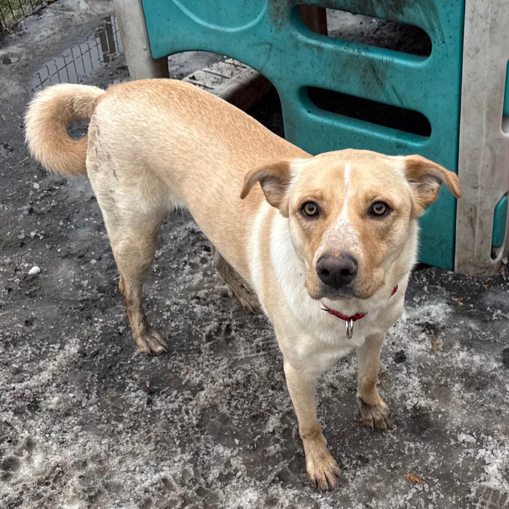 Frannie fka Meef — thumbnail 2