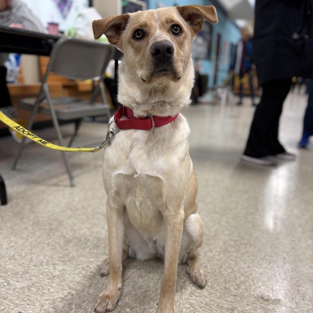 Frannie fka Meef — thumbnail 3