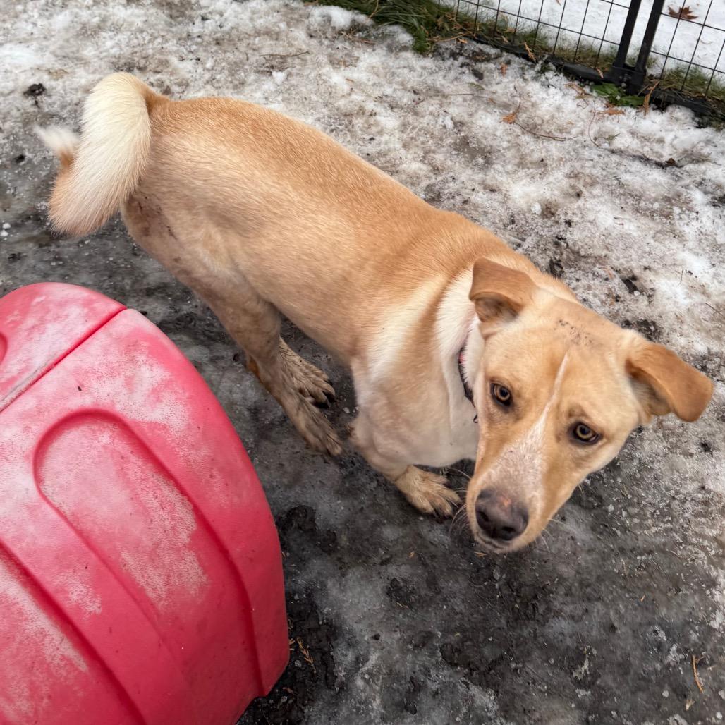 Frannie fka Meef — thumbnail 4